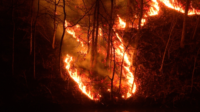 South_Korea_Battles_Worst_Wildfires__Toll_Hits_26 video poster