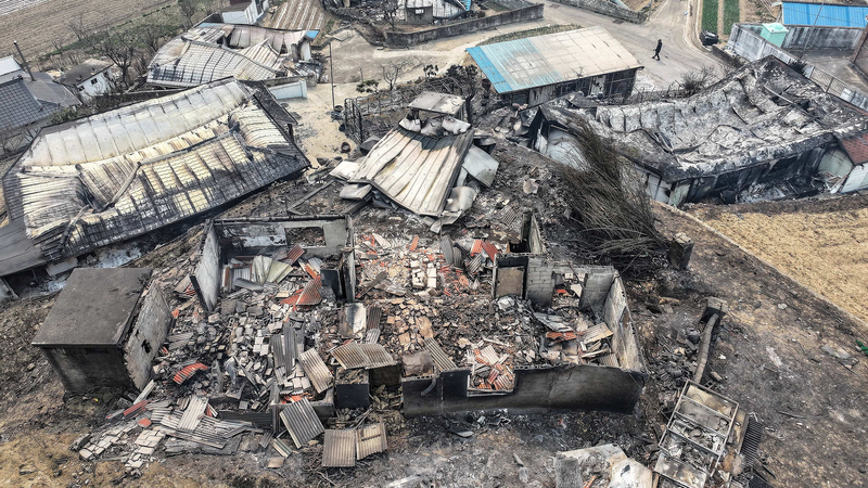 South_Korea_Wildfire_Crisis__Helicopter_Pilot_Killed