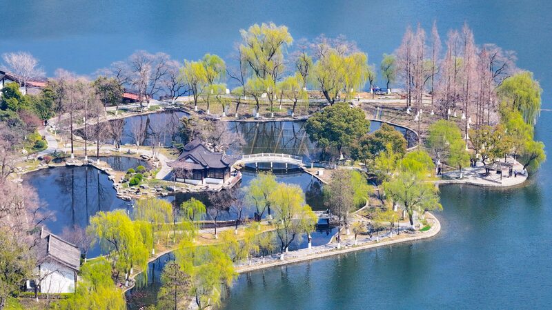 Spring_Blossoms_at_Mochou_Lake_Park_Captivate_Visitors