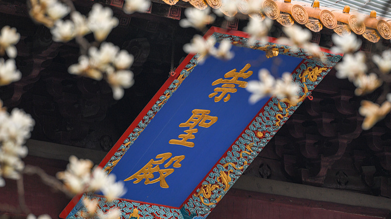 Springtime_Splendor__Magnolias_Brighten_Chaotian_Palace_in_Nanjing