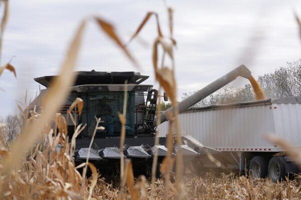 US Tariffs Intensify Global Farming Woes US_Tariffs_Intensify_Global_Farming_Woes