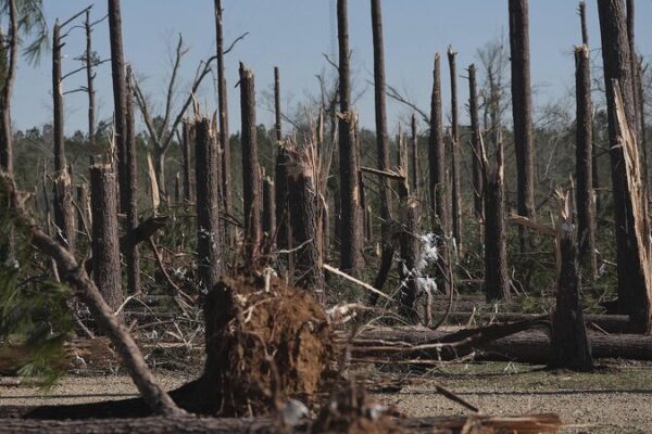 U.S. Storm Chaos: 37 Dead as Tornadoes, Wildfires and Dust Storms Strike U_S__Storm_Chaos__37_Dead_as_Tornadoes__Wildfires_and_Dust_Storms_Strike