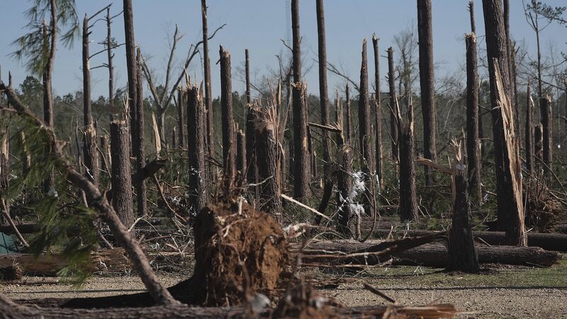 U_S__Storm_Chaos__37_Dead_as_Tornadoes__Wildfires_and_Dust_Storms_Strike