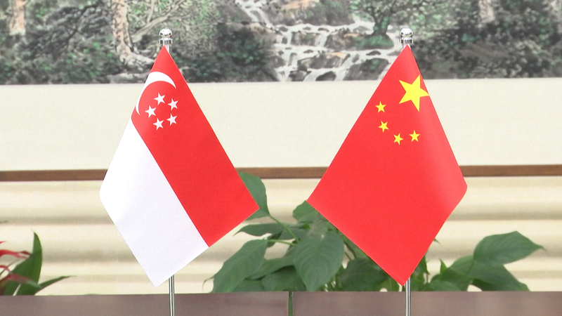 Vice_President_Urges_Closer_China_Singapore_Ties