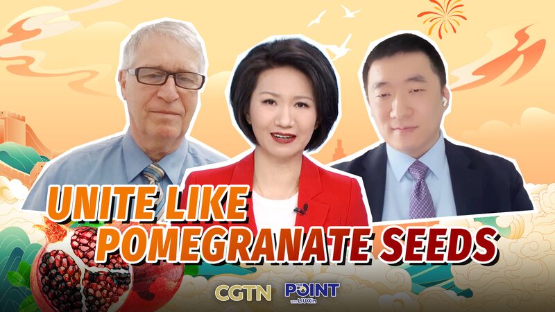 Xinjiang_s_Resilience_Shines_Amid_U_S__Sanctions_at_Two_Sessions video poster