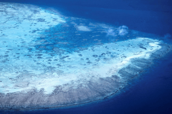 Sixth Mass Bleaching Hits Great Barrier Reef in 2024β25 Sixth Mass Bleaching Hits Great Barrier Reef in 2024β25
