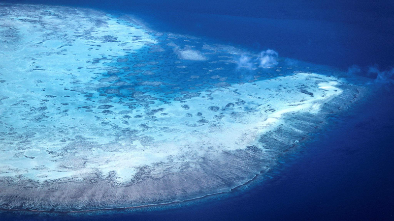 Sixth Mass Bleaching Hits Great Barrier Reef in 2024–25