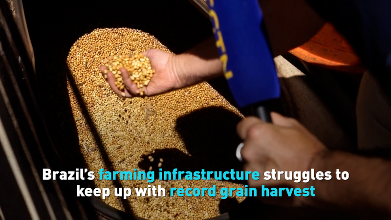 Brazil’s Record Grain Harvest Strains Storage and Supply Chains video poster