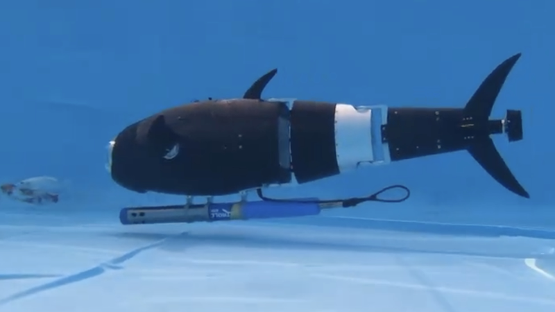 AI_Powered_Robotic_Fish_Transform_Aquaculture