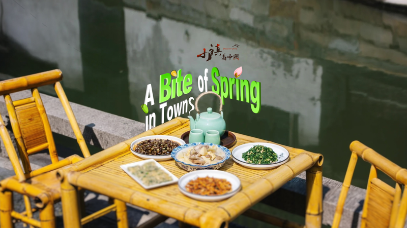A_Bite_of_Spring_in_Jiaxing__Tea__Wild_Greens___Local_Delights_poster - My Global News: Voices of a New Era A_Bite_of_Spring_in_Jiaxing__Tea__Wild_Greens___Local_Delights video poster