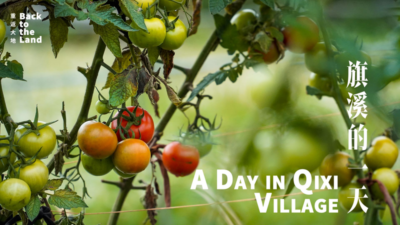 A_Vibrant_Day_in_Qixi_Village video poster
