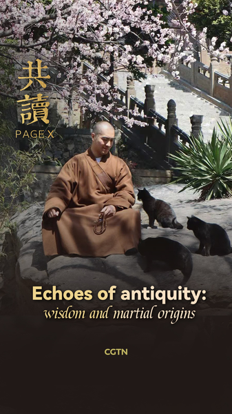 Ancient_Wisdom_on_Mindful_Reading_from_Fawang_Temple_poster - My Global News: Voices of a New Era Ancient_Wisdom_on_Mindful_Reading_from_Fawang_Temple video poster
