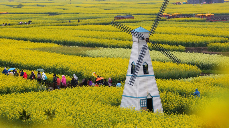 April_s_Floral_Splendor__How_High_Speed_Rail__Is_Transforming_Spring_Travel - My Global News: Voices of a New Era April_s_Floral_Splendor__How_High_Speed_Rail__Is_Transforming_Spring_Travel