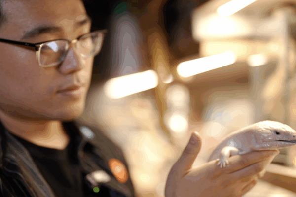 Beijing Native Yuki Turns Reptile Passion into Global Education Startup Beijing_Native_Yuki_Turns_Reptile_Passion_into_Global_Education_Startup video poster