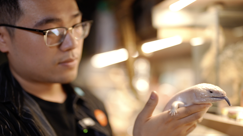 Beijing_Native_Yuki_Turns_Reptile_Passion_into_Global_Education_Startup video poster