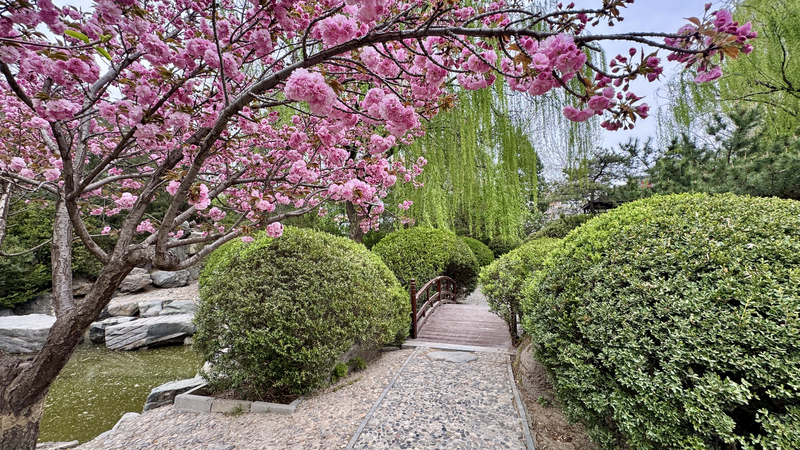 Beijing_s_Shuangxiu_Park__Fusion_of_Garden_Artistry_poster - My Global News: Voices of a New Era Beijing_s_Shuangxiu_Park__Fusion_of_Garden_Artistry video poster