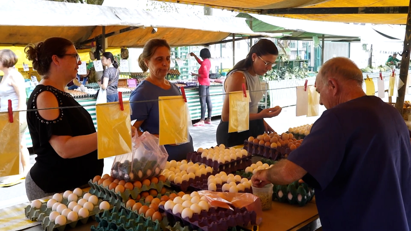 Brazil_Egg_Prices_Soar_as_U_S__Demand_Boosts_Exports_poster - My Global News: Voices of a New Era Brazil_Egg_Prices_Soar_as_U_S__Demand_Boosts_Exports video poster