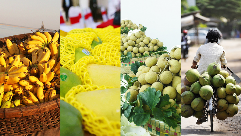 Cambodian Fruits Sweeten Ties with Chinese Consumers Cambodian_Fruits_Sweeten_Ties_with_Chinese_Consumers