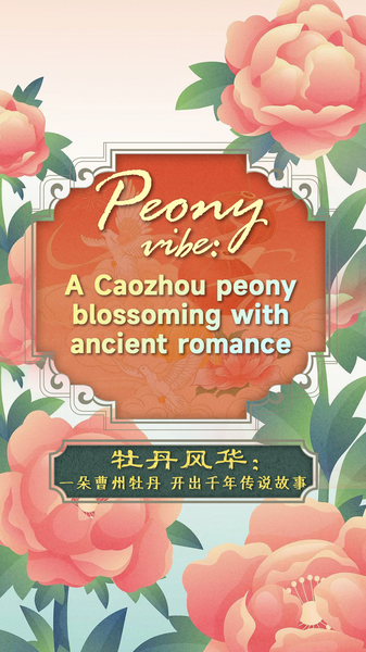 Caozhou_Peony__Blossoming_Legacy_of_Ancient_Romance_poster - My Global News: Voices of a New Era Caozhou_Peony__Blossoming_Legacy_of_Ancient_Romance video poster
