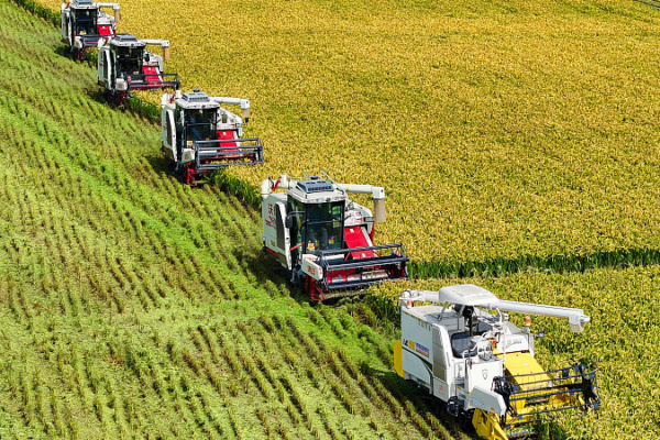 China Unveils Bold Agriculture & Rural Modernization Plan China_Unveils_Bold_Agriculture___Rural_Modernization_Plan