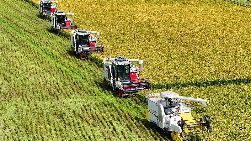 China_Unveils_Bold_Agriculture___Rural_Modernization_Plan