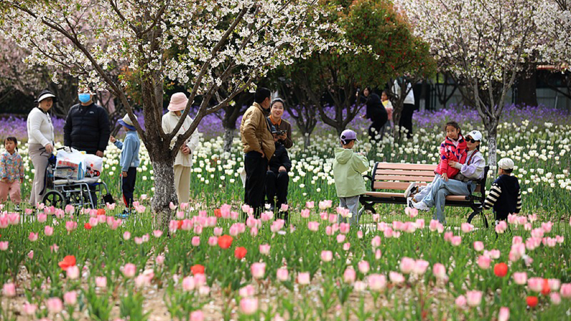 China_s_Qingming_Festival_to_Spark_760M_Cross_Regional_Trips video poster