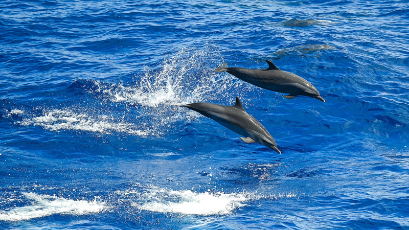 Experts_Rally_for_Maritime_Community_with_Shared_Future - My Global News: Voices of a New Era Experts_Rally_for_Maritime_Community_with_Shared_Future