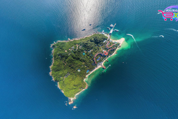 Exploring Wuzhizhou Island’s Underwater Wonders Exploring_Wuzhizhou_Island_s_Underwater_Wonders video poster