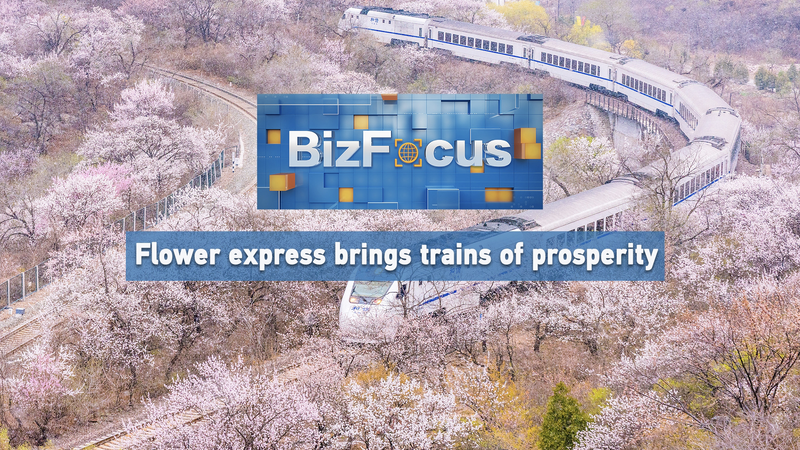 Flower_Express_Sparks_Prosperity_in_Xi_an_poster - My Global News: Voices of a New Era Flower_Express_Sparks_Prosperity_in_Xi_an video poster