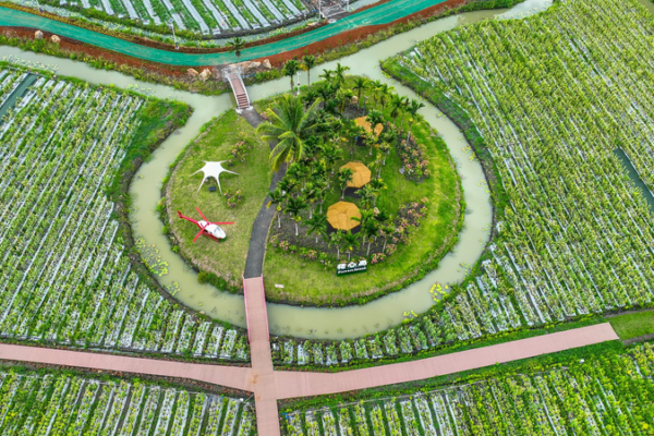 Qionghai’s Tropical Fruit Kingdom Shines at Hainan Expo Qionghai’s Tropical Fruit Kingdom Shines at Hainan Expo video poster