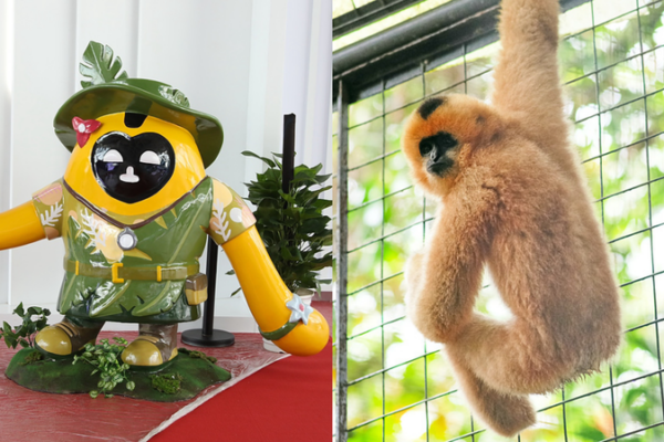 Hainan Expo Mascots Champion Rainforest Conservation Hainan_Expo_Mascots_Champion_Rainforest_Conservation