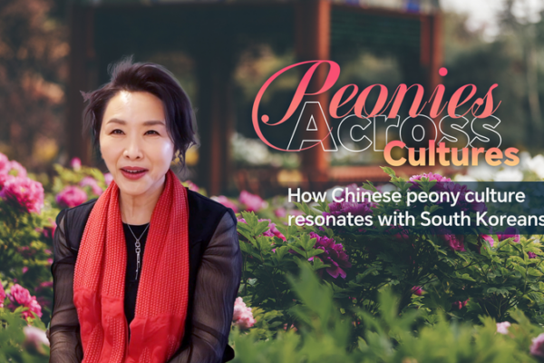 Peony Passion: Heze’s Blossoms Inspire South Koreans video poster