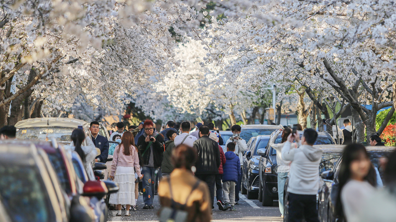 Record 790M Trips Propel Chinese Mainland’s Qingming Festival
