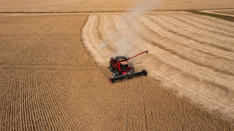 Kentucky_Soybean_Leader_Urges_Trump_to_End_Trade_War - My Global News: Voices of a New Era Kentucky_Soybean_Leader_Urges_Trump_to_End_Trade_War