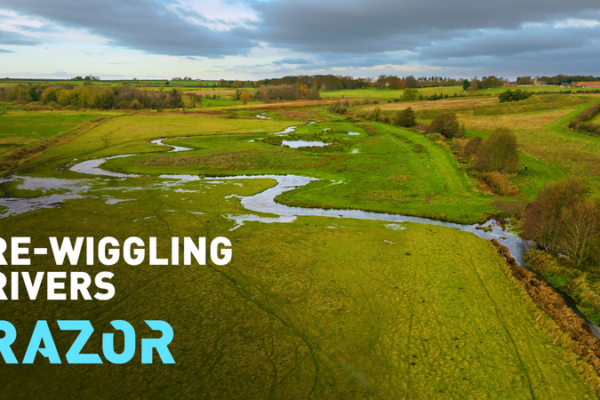 Re-Wiggling Rivers: Reviving Nature’s Flow in Norfolk Re-Wiggling Rivers: Reviving Nature’s Flow in Norfolk video poster