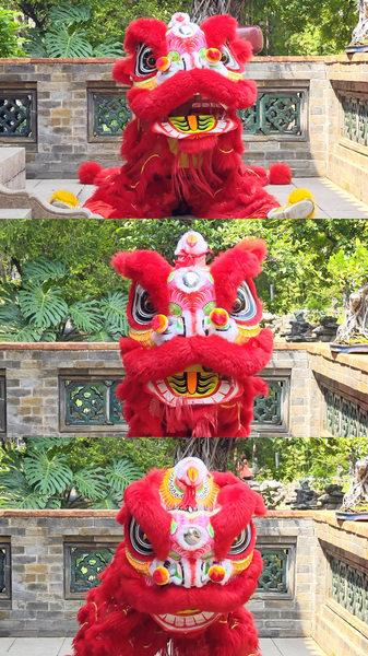 Lion_s_Fluffy_Emotions__Mastering_Human_Feelings_poster - My Global News: Voices of a New Era Lion_s_Fluffy_Emotions__Mastering_Human_Feelings video poster