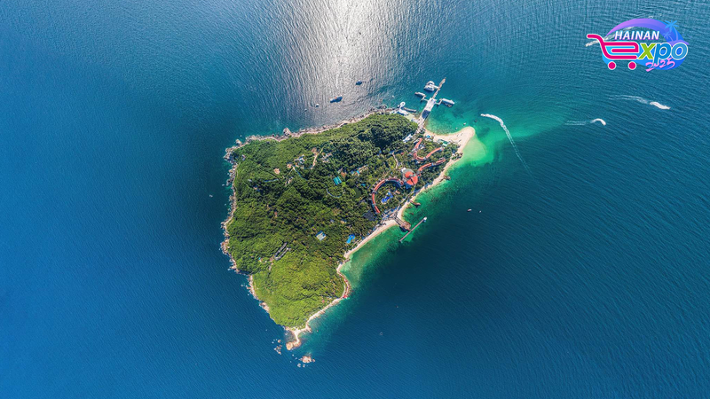 Live_Dive__Uncover_Wuzhizhou_Island_s_Underwater_Wonders video poster