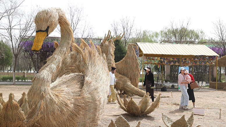 Ningxia_s_2025_Scarecrow_Art_Festival_Kicks_Off_with_Giant_Straw_Sculptures - My Global News: Voices of a New Era Ningxia_s_2025_Scarecrow_Art_Festival_Kicks_Off_with_Giant_Straw_Sculptures