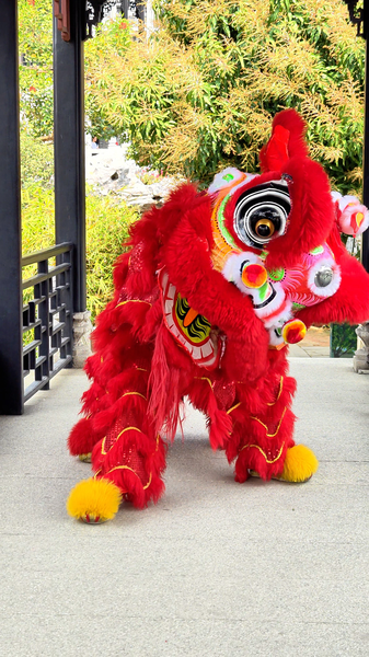 Paw_Cleaning_Cuteness__A_Stunning_Twist_in_Lion_Dancing_poster - My Global News: Voices of a New Era Paw_Cleaning_Cuteness__A_Stunning_Twist_in_Lion_Dancing video poster