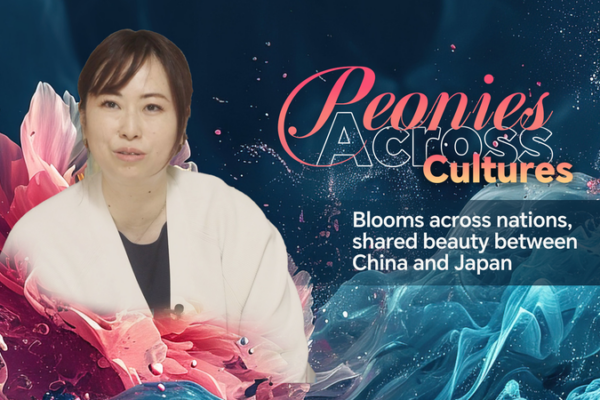 Peonies Unify China and Japan at Global Festival Peonies_Unify_China_and_Japan_at_Global_Festival video poster