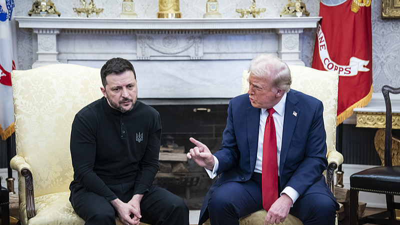 Poll__Majority_of_Ukrainians_Skeptical_of_Trump_s_Quick_Peace_Plan