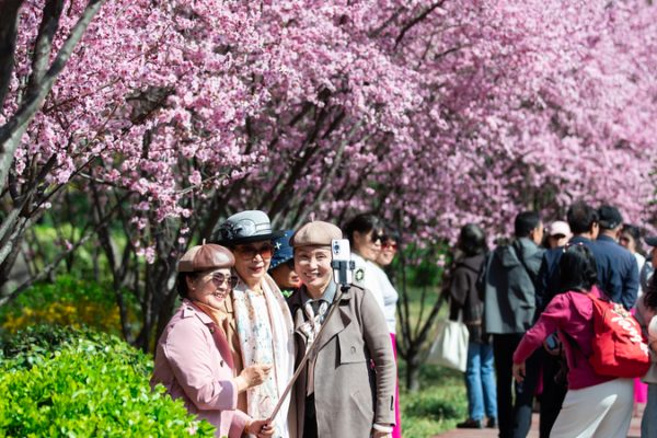 Qingming Festival Sparks New Travel Trends in the Chinese Mainland Qingming_Festival_Sparks_New_Travel_Trends_in_the_Chinese_Mainland