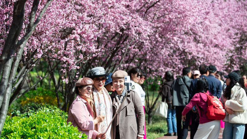 Qingming_Festival_Sparks_New_Travel_Trends_in_the_Chinese_Mainland - My Global News: Voices of a New Era Qingming_Festival_Sparks_New_Travel_Trends_in_the_Chinese_Mainland
