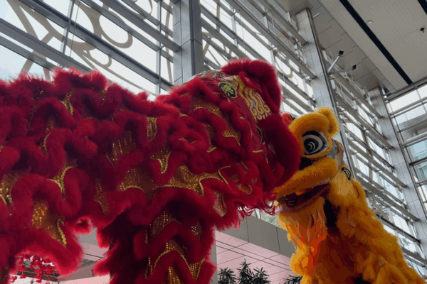 Lion Dance Bridges China and Malaysia’s Cultural Heritage Lion Dance Bridges China and Malaysia’s Cultural Heritage video poster