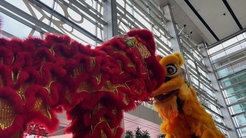 RQYANNYMNTISFUETS4VO - My Global News: Voices of a New Era Lion Dance Bridges China and Malaysia’s Cultural Heritage video poster