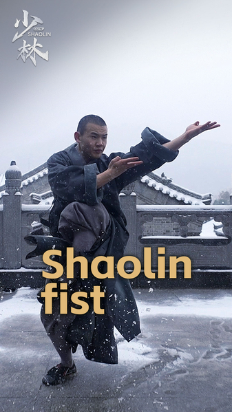 Shaolin_Kung_Fu_Unleashed__Fists_Fly__Blades_Dance___Inner_Energy_poster - My Global News: Voices of a New Era Shaolin_Kung_Fu_Unleashed__Fists_Fly__Blades_Dance___Inner_Energy video poster