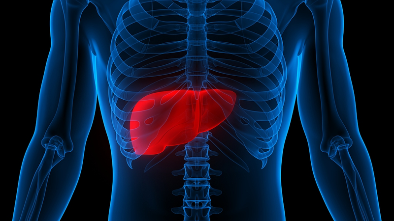 Silybin__A_Natural_Blocker_Against_Cancer_Growth