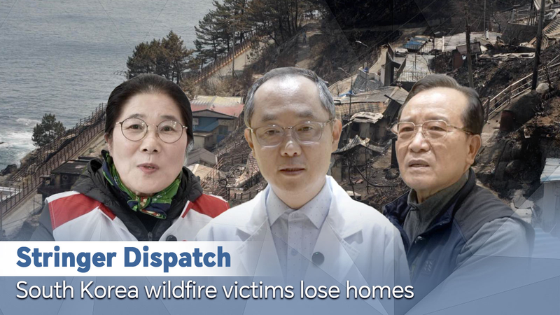 South_Korea_Wildfire_Crisis__Homes_and_Heritage_at_Risk video poster