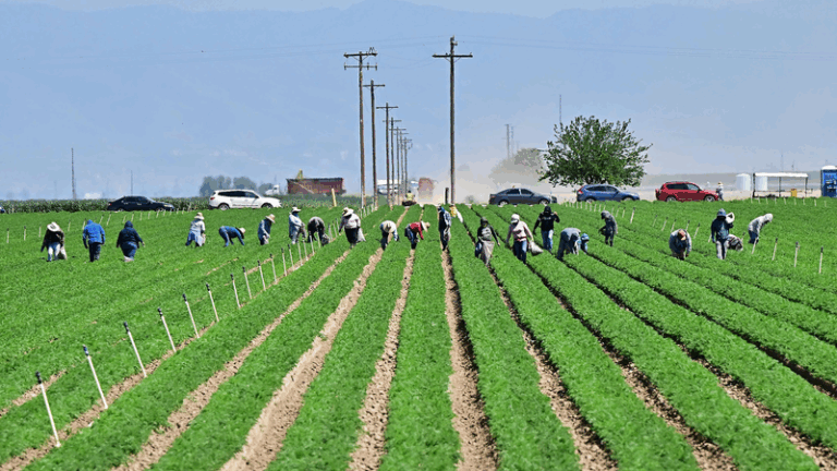 Tariff_Tensions_Disrupt_California_Agriculture
