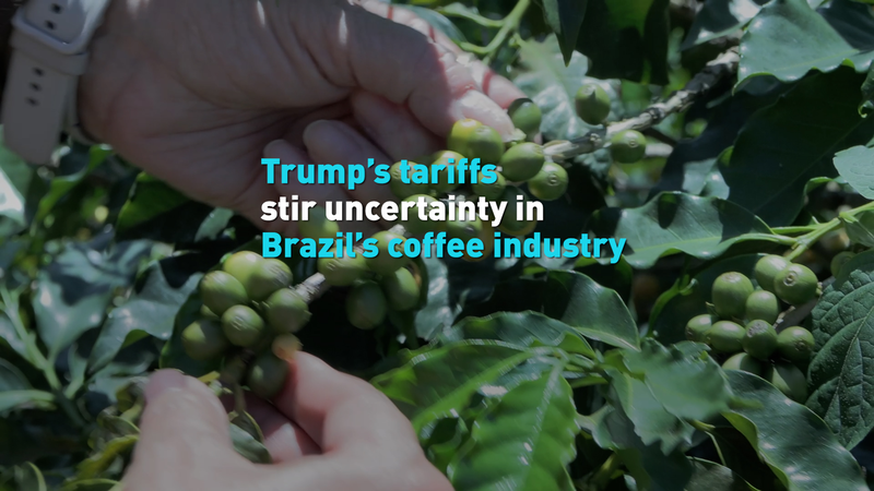 Trump_Tariffs_Stir_Turmoil_in_Brazil_s_Coffee_Industry_poster - My Global News: Voices of a New Era Trump_Tariffs_Stir_Turmoil_in_Brazil_s_Coffee_Industry video poster